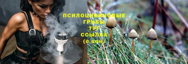 тгк Балахна