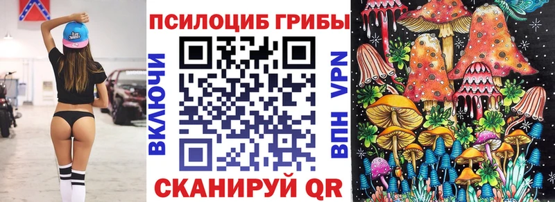 Галлюциногенные грибы MAGIC MUSHROOMS  Купить где  Лабинск 